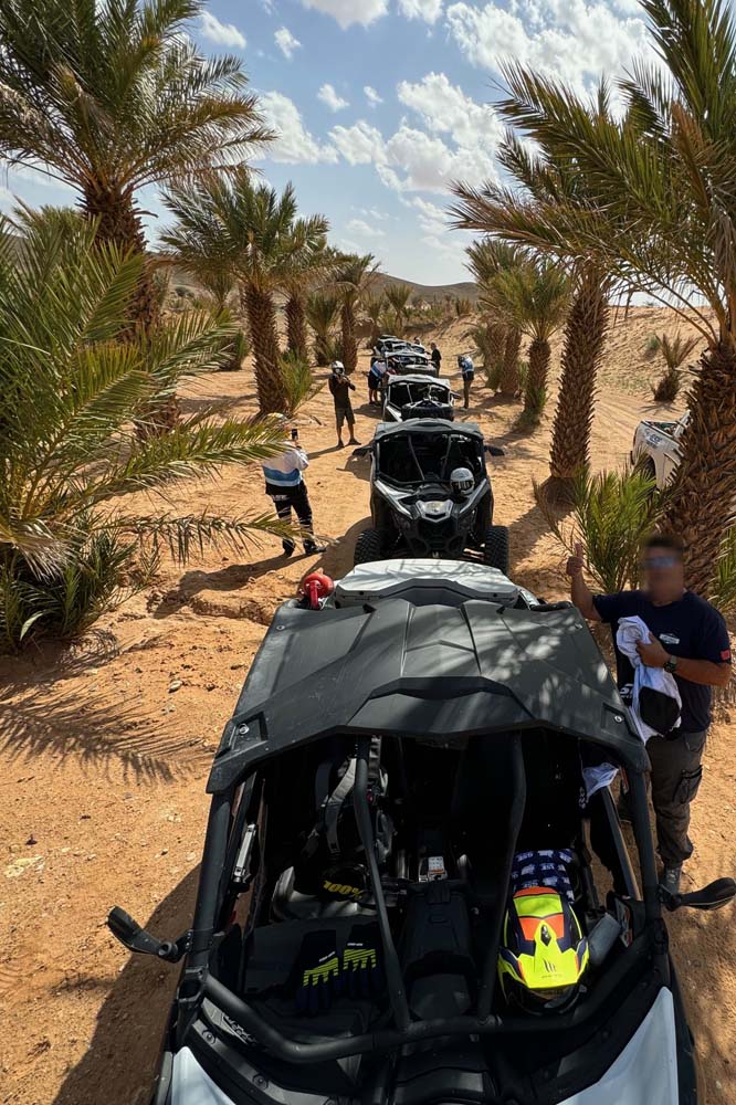 Oasis Tissardmine au Maroc